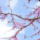 Illustration for article titled Shooting Challenge: Spring Gallery 2